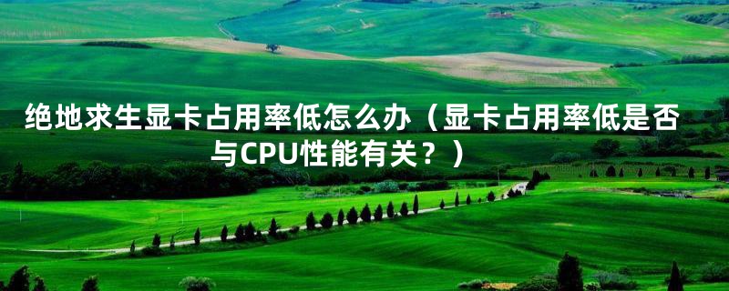 绝地求生显卡占用率低怎么办(显卡占用率低是否与CPU性能有关?)
