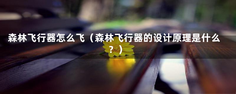 森林飞行器怎么飞(森林飞行器的设计原理是什么?)