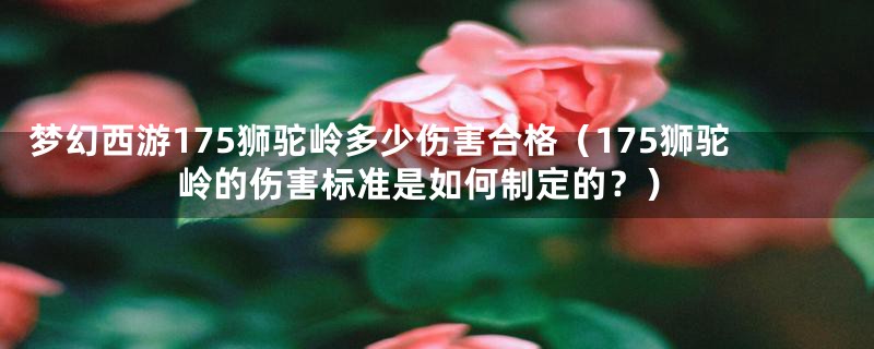 梦幻西游175狮驼岭多少伤害合格(175狮驼岭的伤害标准是如何制定的?)