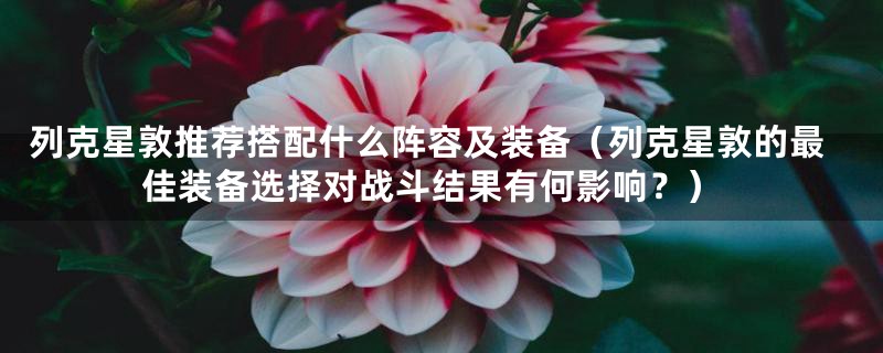 列克星敦推荐搭配什么阵容及装备(列克星敦的最佳装备选择对战斗结果有何影响?)