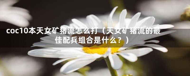 coc10本天女矿猪流怎么打(天女矿猪流的最佳配兵组合是什么?)