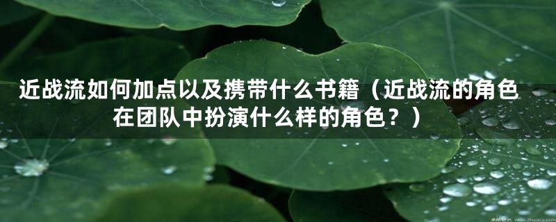 近战流如何加点以及携带什么书籍(近战流的角色在团队中扮演什么样的角色?)