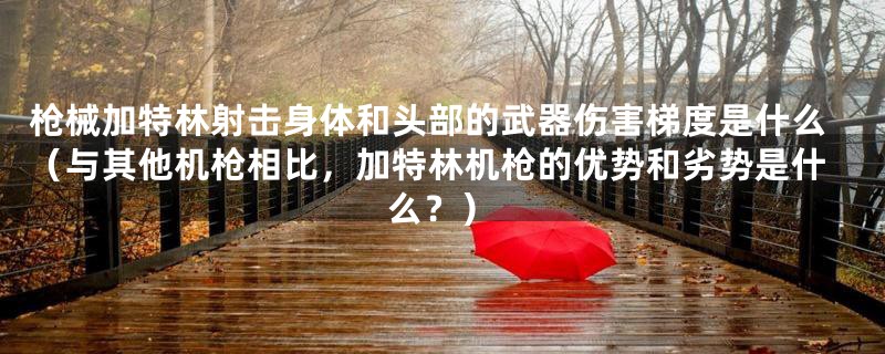 枪械加特林射击身体和头部的武器伤害梯度是什么(与其他机枪相比,加特林机枪的优势和劣势是什么?)