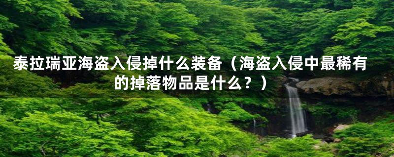泰拉瑞亚海盗入侵掉什么装备（海盗入侵中最稀有的掉落物品是什么？）
