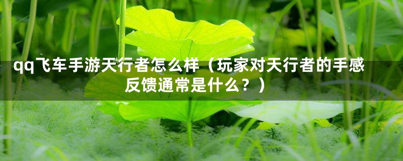 qq飞车手游天行者怎么样(玩家对天行者的手感反馈通常是什么?)
