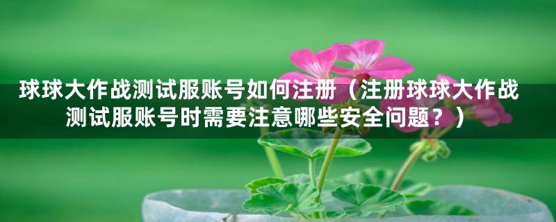 球球大作战测试服账号如何注册(注册球球大作战测试服账号时需要注意哪些安全问题?)
