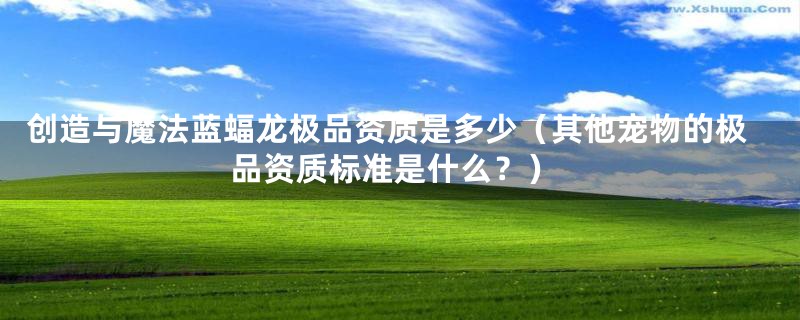 创造与魔法蓝蝠龙极品资质是多少(其他宠物的极品资质标准是什么?)