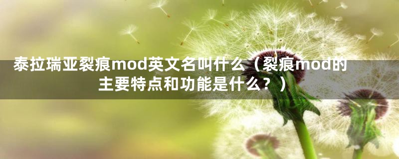 泰拉瑞亚裂痕mod英文名叫什么(裂痕mod的主要特点和功能是什么?)