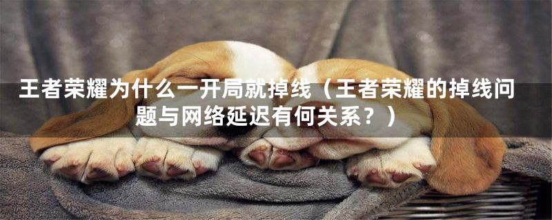 王者荣耀为什么一开局就掉线(王者荣耀的掉线问题与网络延迟有何关系?)