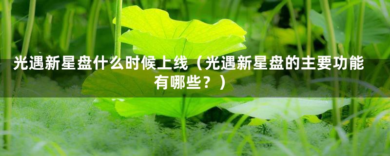 光遇新星盘什么时候上线(光遇新星盘的主要功能有哪些?)