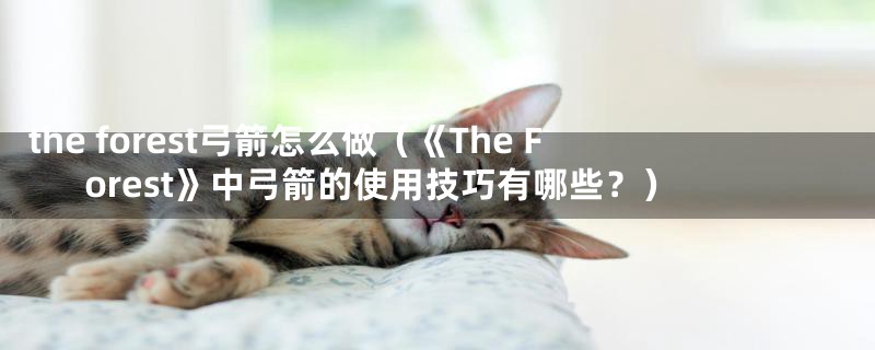 the forest弓箭怎么做(《The Forest》中弓箭的使用技巧有哪些?)