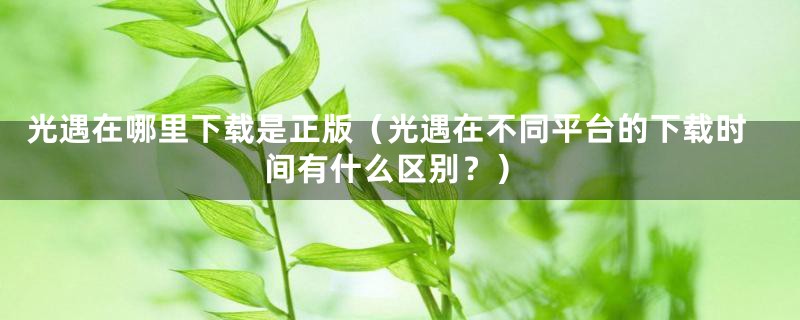 光遇在哪里下载是正版(光遇在不同平台的下载时间有什么区别?)