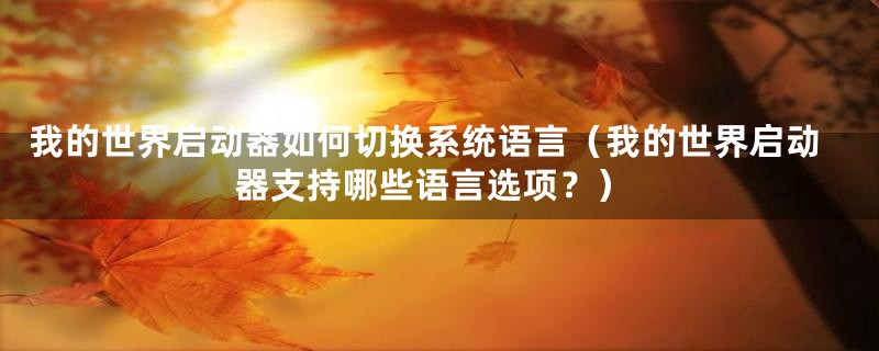 我的世界启动器如何切换系统语言(我的世界启动器支持哪些语言选项?)