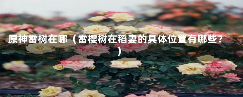 原神雷树在哪(雷樱树在稻妻的具体位置有哪些?)