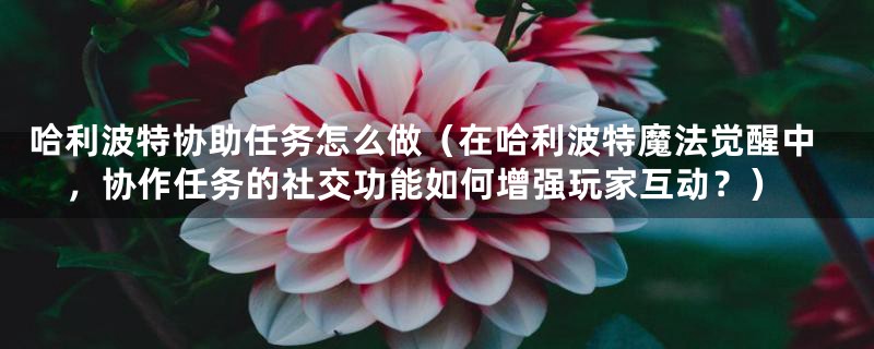 哈利波特协助任务怎么做(在哈利波特魔法觉醒中,协作任务的社交功能如何增强玩家互动?)