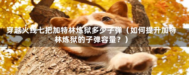 穿越火线七把加特林炼狱多少子弹(如何提升加特林炼狱的子弹容量?)