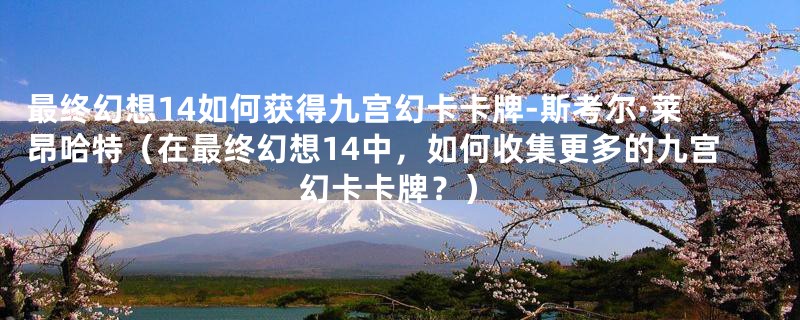 最终幻想14如何获得九宫幻卡卡牌-斯考尔·莱昂哈特(在最终幻想14中,如何收集更多的九宫幻卡卡牌?)