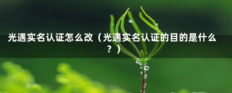 光遇实名认证怎么改（光遇实名认证的目的是什么？）