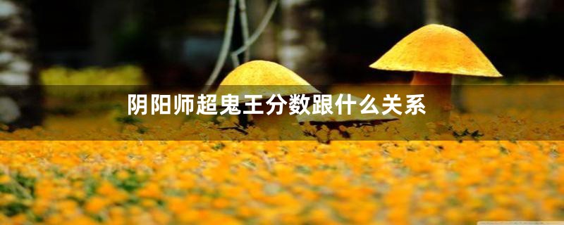 阴阳师超鬼王分数跟什么关系