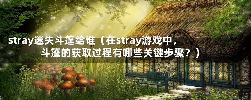 stray迷失斗篷给谁(在stray游戏中,斗篷的获取过程有哪些关键步骤?)