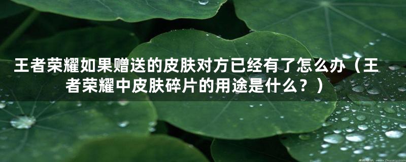 王者荣耀如果赠送的皮肤对方已经有了怎么办(王者荣耀中皮肤碎片的用途是什么?)