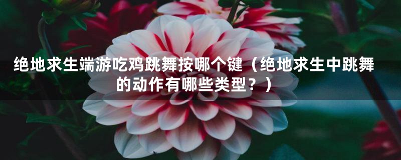 绝地求生端游吃鸡跳舞按哪个键(绝地求生中跳舞的动作有哪些类型?)
