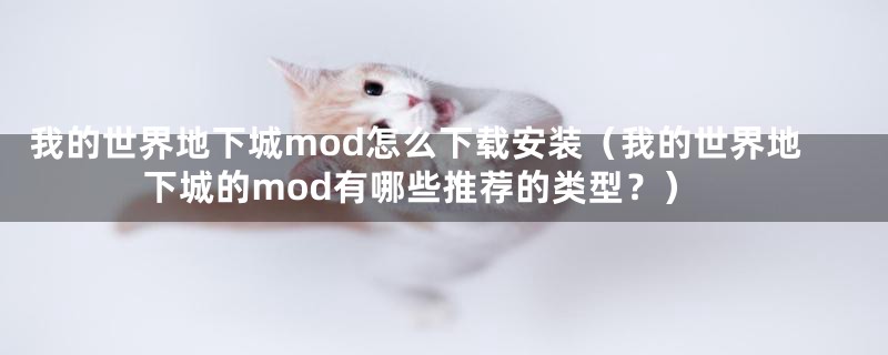 我的世界地下城mod怎么下载安装(我的世界地下城的mod有哪些推荐的类型?)