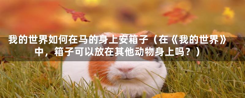 我的世界如何在马的身上安箱子(在《我的世界》中,箱子可以放在其他动物身上吗?)