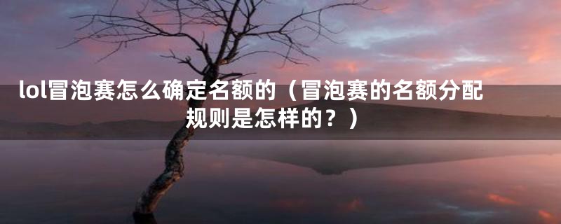 lol冒泡赛怎么确定名额的(冒泡赛的名额分配规则是怎样的?)