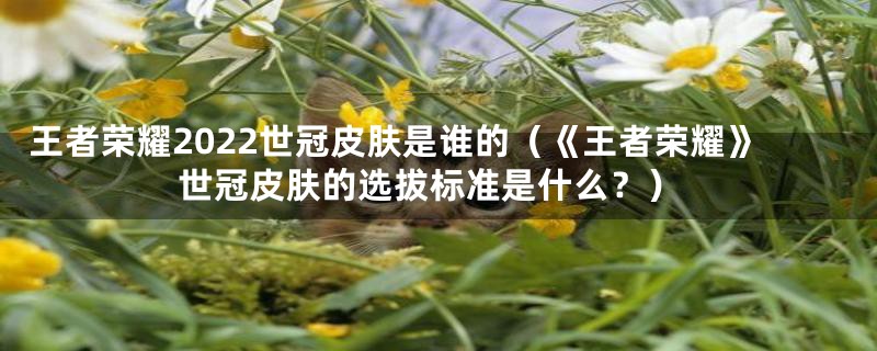 王者荣耀2022世冠皮肤是谁的(《王者荣耀》世冠皮肤的选拔标准是什么?)