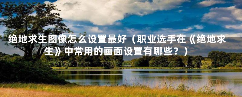 绝地求生图像怎么设置最好(职业选手在《绝地求生》中常用的画面设置有哪些?)