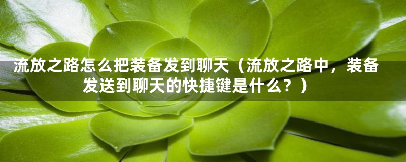 流放之路怎么把装备发到聊天(流放之路中,装备发送到聊天的快捷键是什么?)