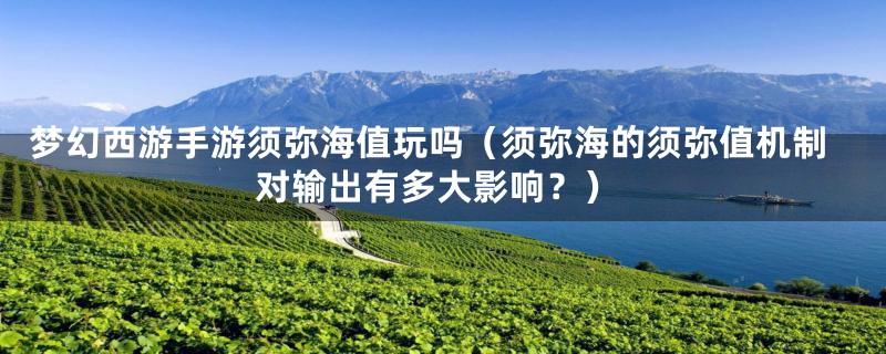 梦幻西游手游须弥海值玩吗(须弥海的须弥值机制对输出有多大影响?)