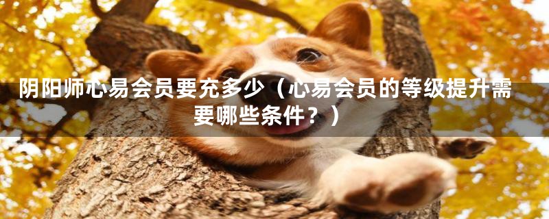 阴阳师心易会员要充多少(心易会员的等级提升需要哪些条件?)