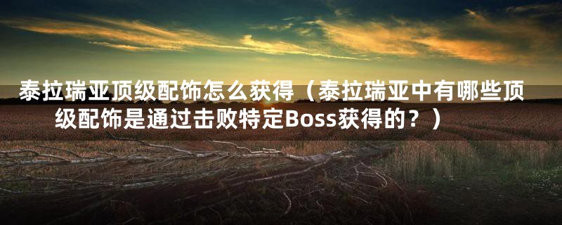 泰拉瑞亚顶级配饰怎么获得(泰拉瑞亚中有哪些顶级配饰是通过击败特定Boss获得的?)