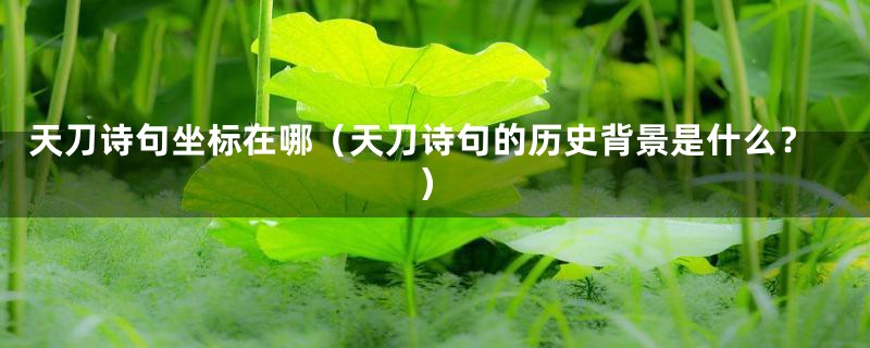 天刀诗句坐标在哪(天刀诗句的历史背景是什么?)