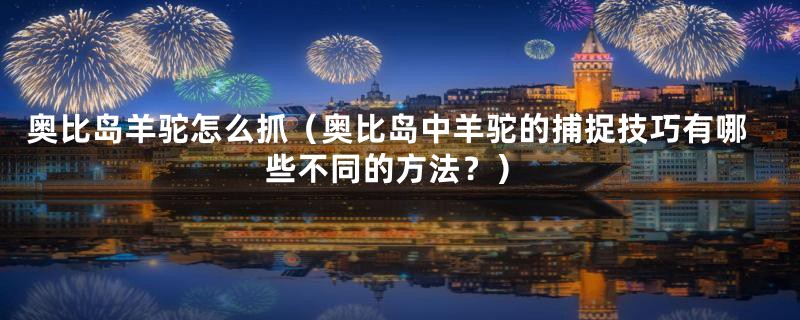 奥比岛羊驼怎么抓(奥比岛中羊驼的捕捉技巧有哪些不同的方法?)