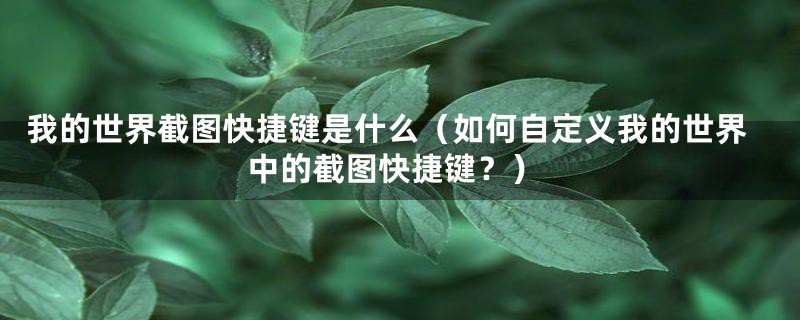 我的世界截图快捷键是什么(如何自定义我的世界中的截图快捷键?)