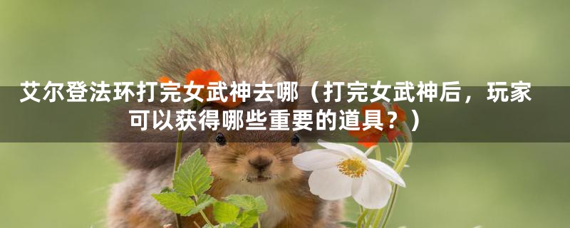 艾尔登法环打完女武神去哪(打完女武神后,玩家可以获得哪些重要的道具?)