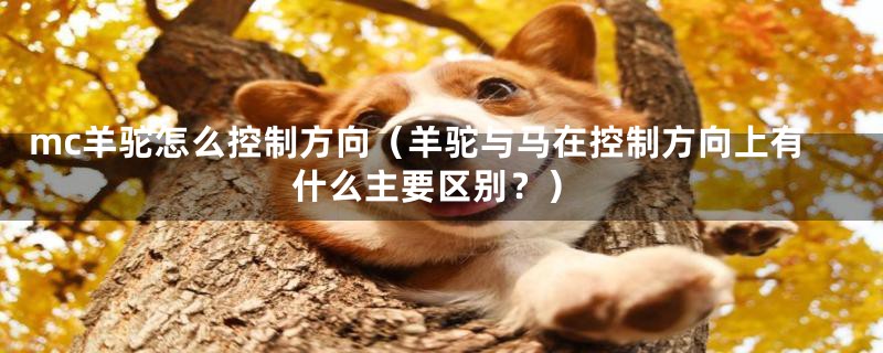 mc羊驼怎么控制方向(羊驼与马在控制方向上有什么主要区别?)