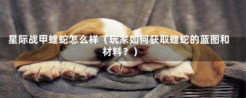 星际战甲蝰蛇怎么样(玩家如何获取蝰蛇的蓝图和材料?)