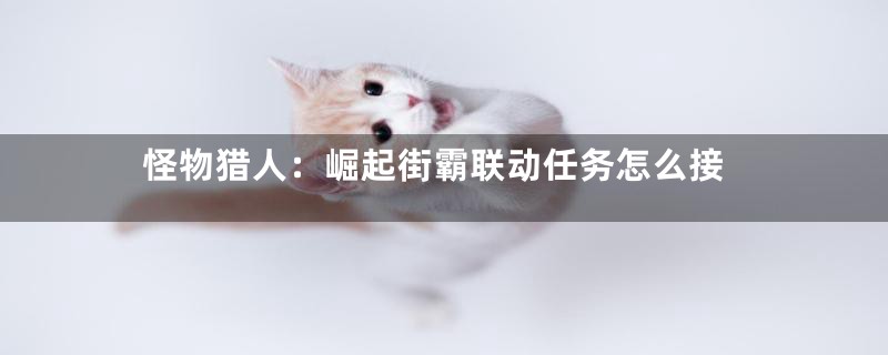 怪物猎人：崛起街霸联动任务怎么接