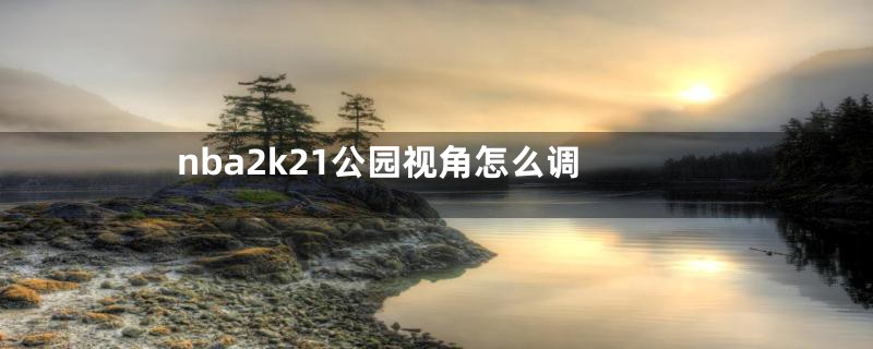 nba2k21公园视角怎么调