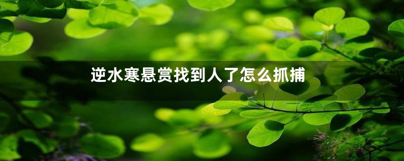 逆水寒悬赏找到人了怎么抓捕