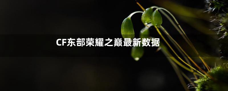 CF东部荣耀之巅最新数据