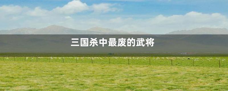 三国杀中最废的武将