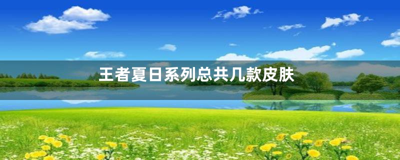 王者夏日系列总共几款皮肤