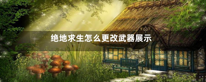 绝地求生怎么更改武器展示