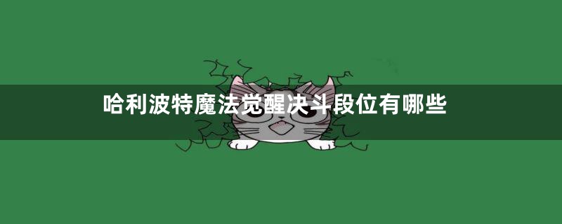 哈利波特魔法觉醒决斗段位有哪些