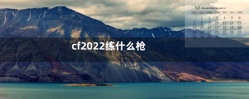 cf2022练什么枪
